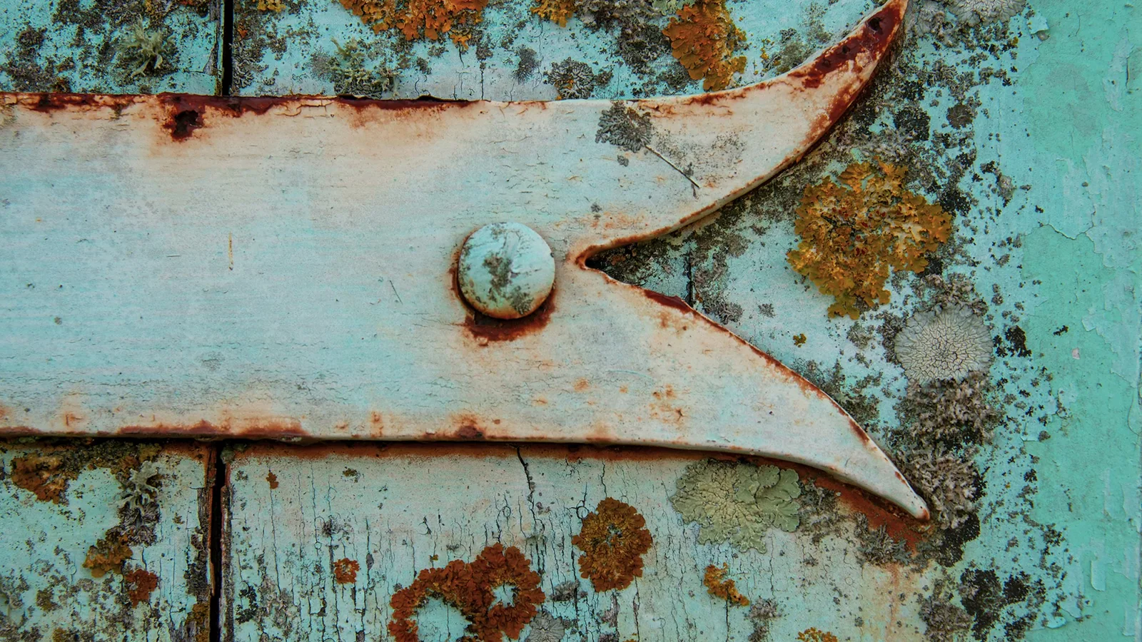 A close view of rust and peeling paint on an old metal door handle