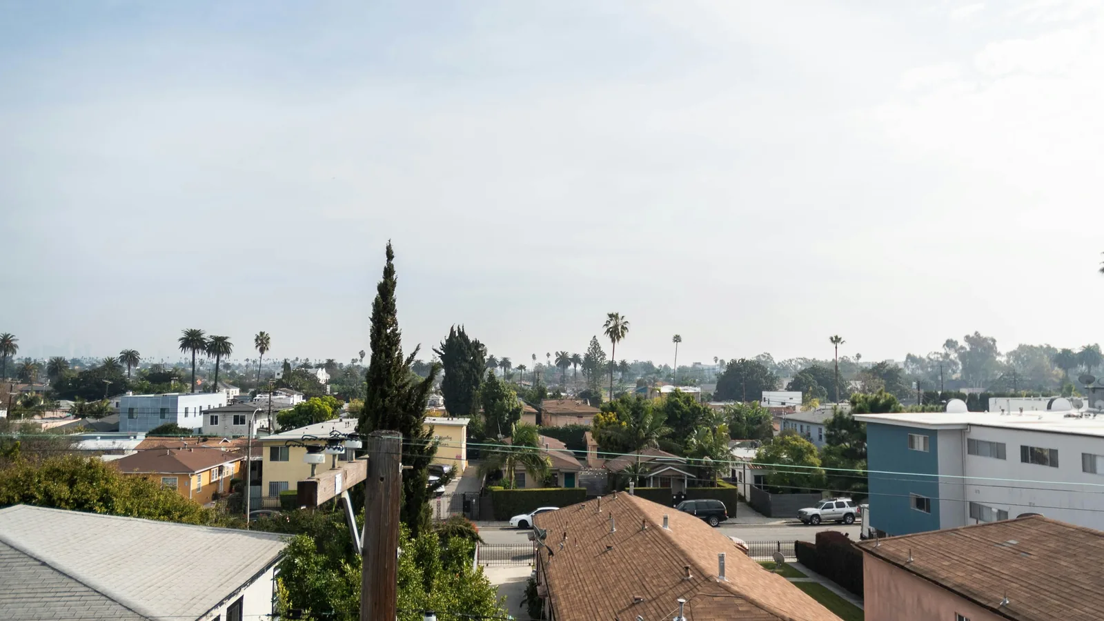 A suburban neighborhood with homes and palm trees viewed from above