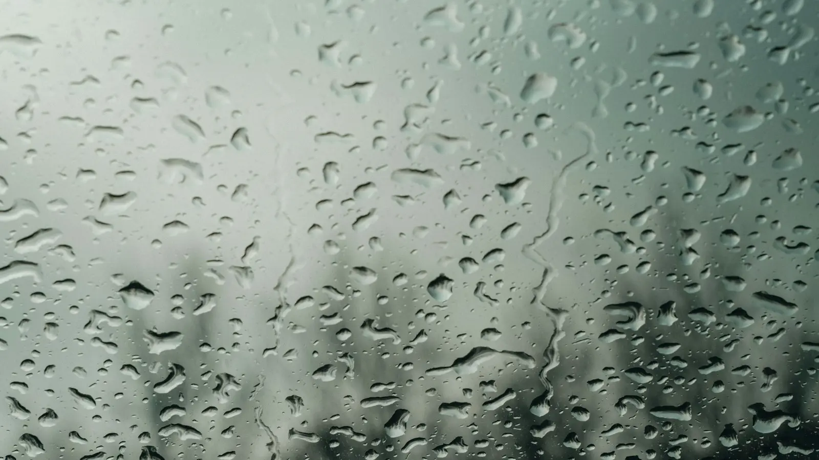Raindrops covering a window with trees blurred beyond the glass