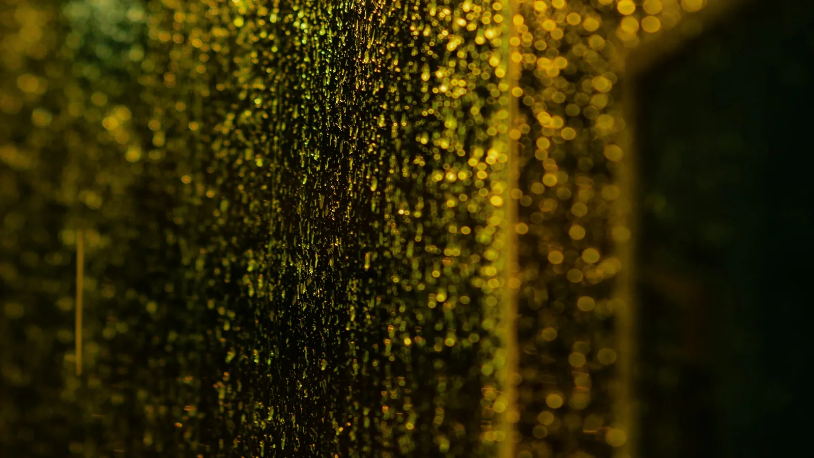 Rain droplets covering a window at night